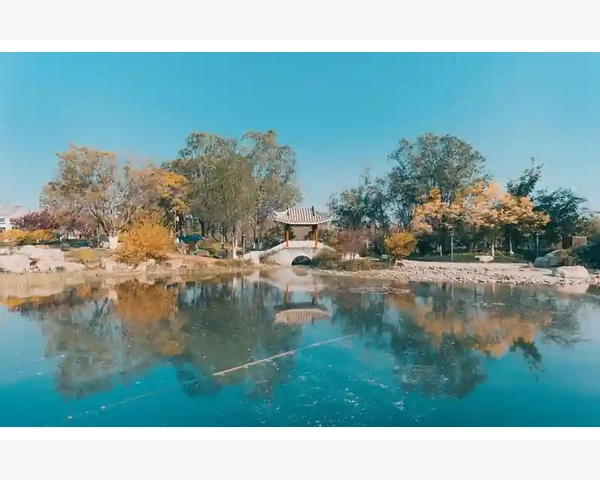 中医经典：中药调理身体，轻松养生，健康不用愁