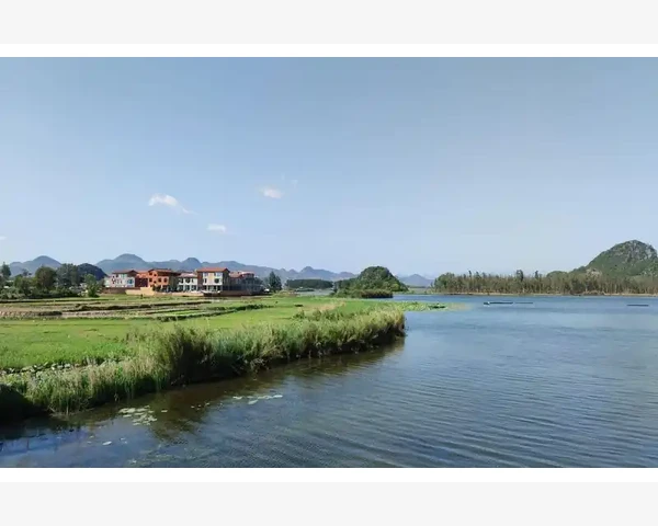 中医经典方剂查询软件：开启中药疗法新时代