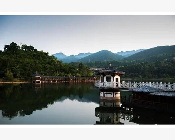 甘草化痰颗粒：中医传统药物促进呼吸系统健康的力量