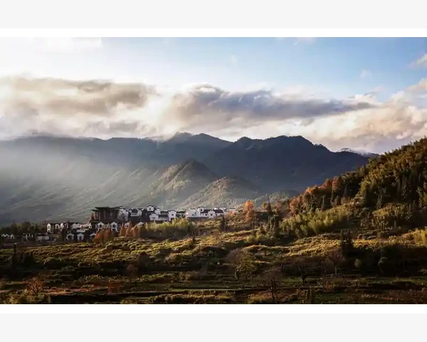 中医养生：中药清肺抑火丸，助您呼吸健康
